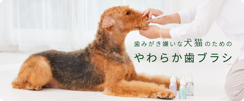 はみがき嫌いな犬猫のためのやわらか歯ブラシ | made of Organics Official Site｜メイドオブオーガニクス